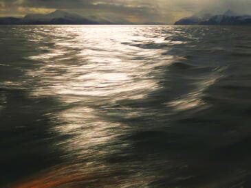 Arctica, Norway © Etienne Pierart.